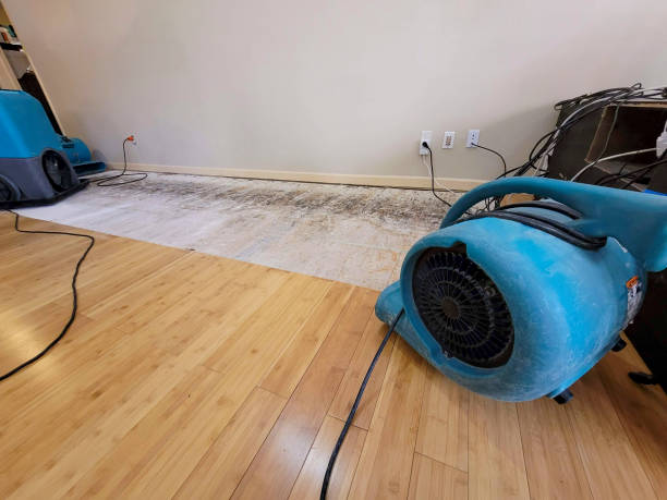 Reliable Basement Flood Cleanup contractor in Lakeshore, LA by Hirex Water Damage
