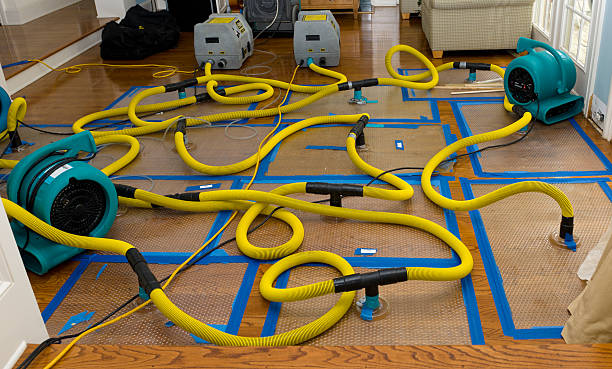 Professional Basement Flood Cleanup technician working in Lakeshore, LA